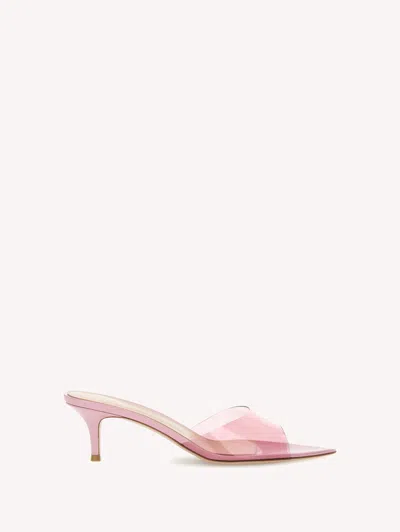 Gianvito Rossi Elle 55 Mules In Pink