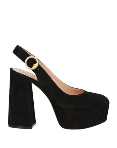Gianvito Rossi Woman Pumps Black Size 5.5 Leather