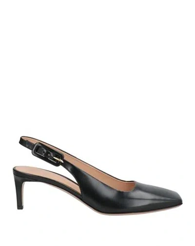 Gianvito Rossi Woman Pumps Black Size 7 Leather