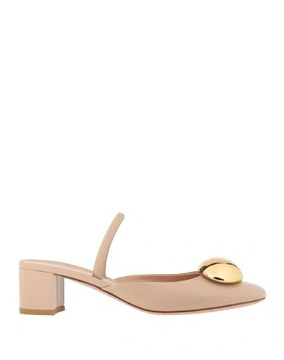 Gianvito Rossi Woman Pumps Blush Size 10 Leather In Pink