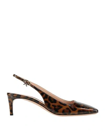 Gianvito Rossi Woman Pumps Dark Brown Size 7.5 Leather