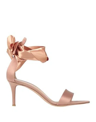 Gianvito Rossi Woman Sandals Antique Rose Size 7 Textile Fibers In Pink