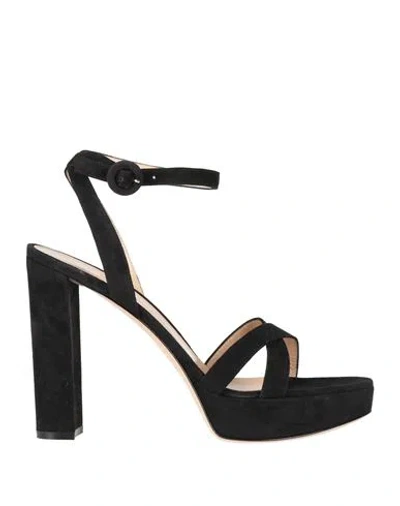 Gianvito Rossi Woman Sandals Black Size 10.5 Leather