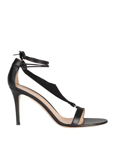 Gianvito Rossi Woman Sandals Black Size 11 Calfskin, Textile Fibers