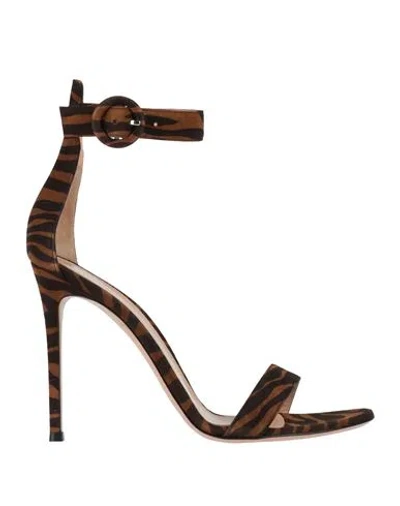 Gianvito Rossi Woman Sandals Black Size 11 Leather