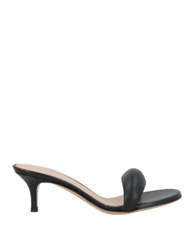 Gianvito Rossi Woman Sandals Black Size 5 Soft Leather