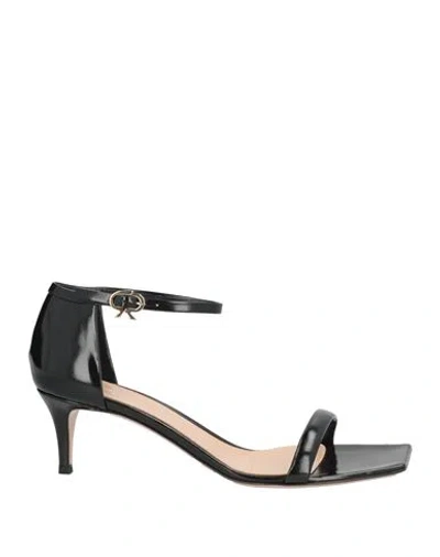 Gianvito Rossi Woman Sandals Black Size 6 Leather