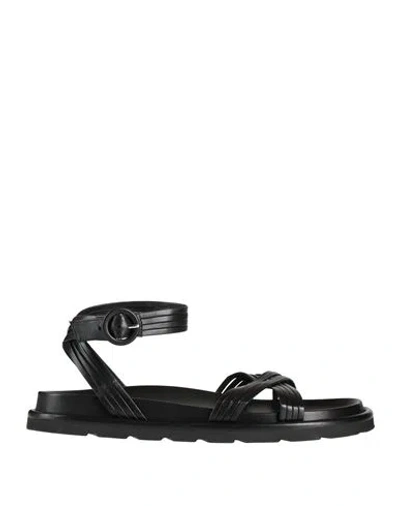 Gianvito Rossi Woman Sandals Black Size 6.5 Leather