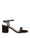 Gianvito Rossi Woman Sandals Black Size 8 Leather