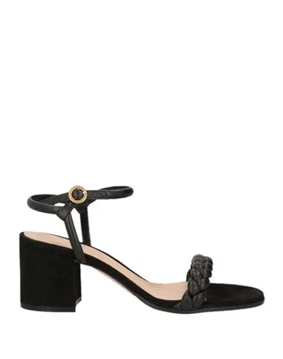 Gianvito Rossi Woman Sandals Black Size 8 Leather