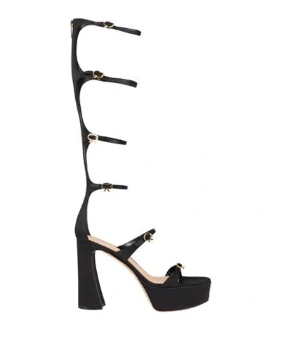 Gianvito Rossi Woman Sandals Black Size 6.5 Textile Fibers