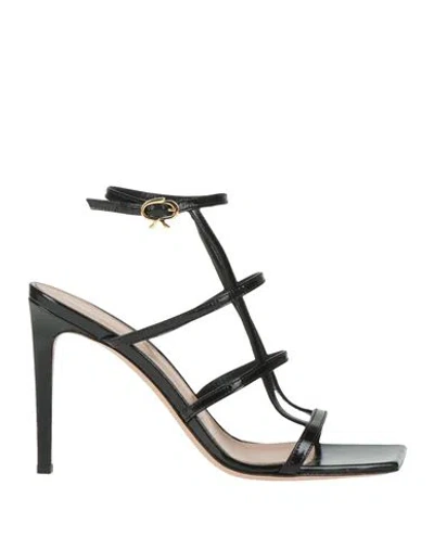 GIANVITO ROSSI GIANVITO ROSSI WOMAN SANDALS BLACK SIZE 7 LEATHER