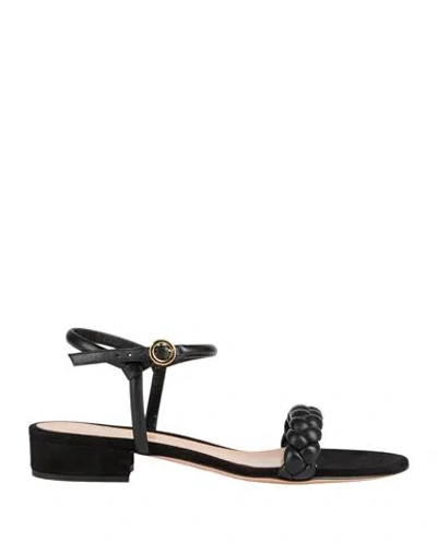 Gianvito Rossi Woman Sandals Black Size 7 Leather
