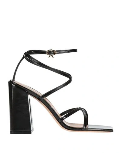 Gianvito Rossi Woman Sandals Black Size 8 Leather