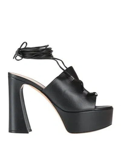 Gianvito Rossi Woman Sandals Black Size 8 Leather