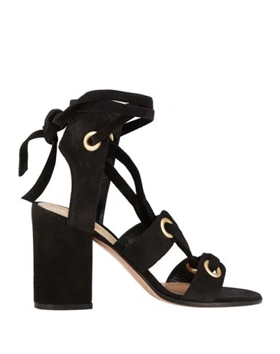Gianvito Rossi Woman Sandals Black Size 8 Leather