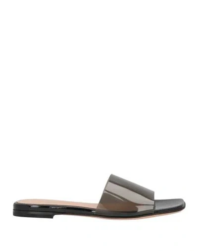 Gianvito Rossi Woman Sandals Black Size 8 Plastic