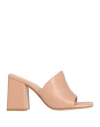 Gianvito Rossi Woman Sandals Blush Size 11 Soft Leather In Pink