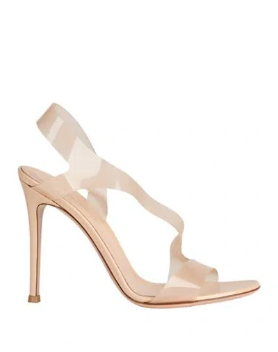 Gianvito Rossi Woman Sandals Blush Size 12 Rubber In Neutral