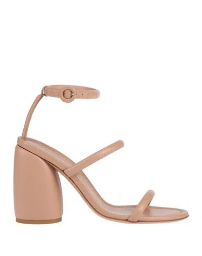 Gianvito Rossi Woman Sandals Blush Size 5.5 Leather In Pink