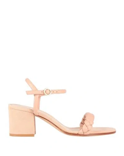 Gianvito Rossi Woman Sandals Blush Size 6.5 Leather In Pink