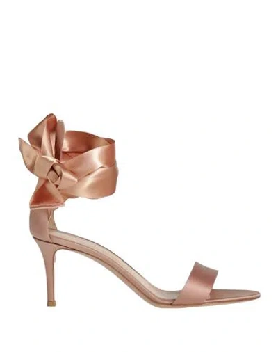 Gianvito Rossi Woman Sandals Blush Size 6.5 Textile Fibers In Pink