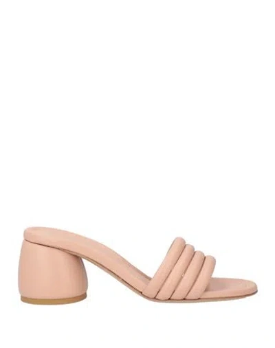 Gianvito Rossi Woman Sandals Blush Size 7 Leather In Pink