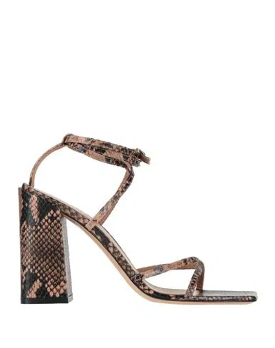 Gianvito Rossi Woman Sandals Blush Size 8.5 Leather In Pink