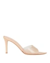 Gianvito Rossi Clear Pointed Toe Stiletto Heel Mules In Pink