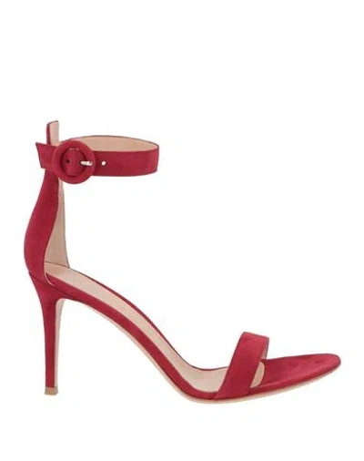 Gianvito Rossi Woman Sandals Brick Size 12 Leather In Red