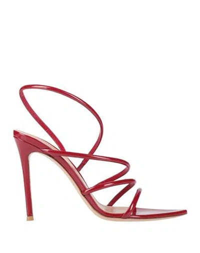 Gianvito Rossi Woman Sandals Brick Size 7.5 Leather In Red