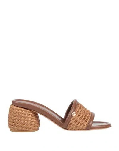 Gianvito Rossi Leather-trimmed Raffia Mules In Brown