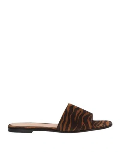 Gianvito Rossi Woman Sandals Brown Size 6 Soft Leather