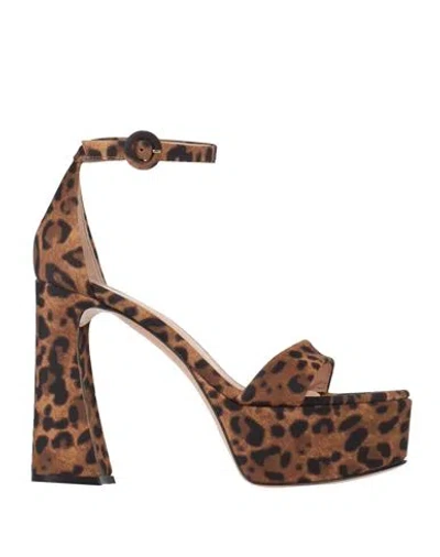 GIANVITO ROSSI GIANVITO ROSSI WOMAN SANDALS BROWN SIZE 7 LYCRA