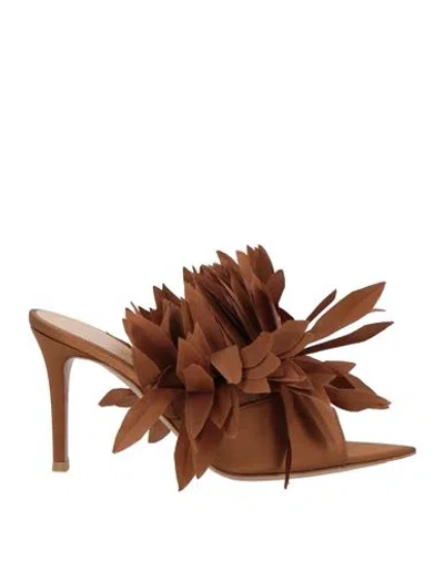 Gianvito Rossi Woman Sandals Brown Size 7.5 Textile Fibers