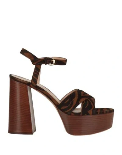 Gianvito Rossi Woman Sandals Brown Size 8 Leather
