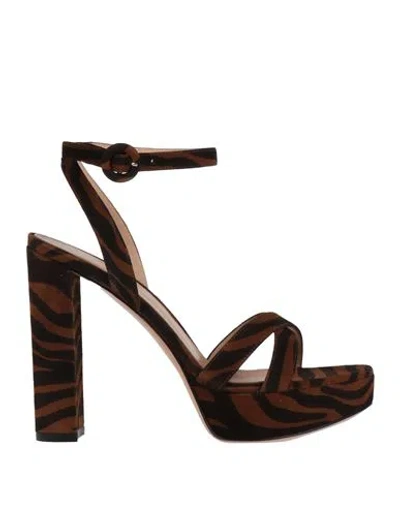 Gianvito Rossi Woman Sandals Brown Size 8 Leather