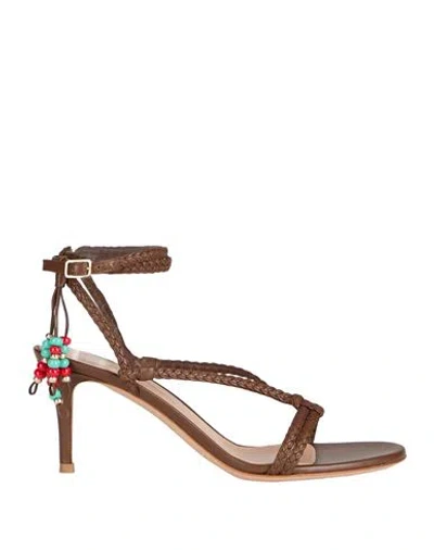 Gianvito Rossi Woman Sandals Brown Size 8 Leather