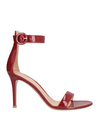 Gianvito Rossi Woman Sandals Burgundy Size 10 Leather In Red