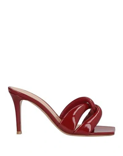 Gianvito Rossi Woman Sandals Burgundy Size 7 Leather In Red