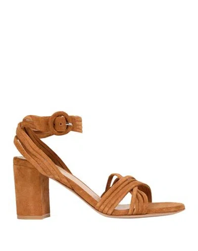Gianvito Rossi Woman Sandals Camel Size 8 Leather