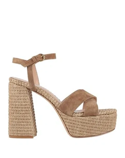 Gianvito Rossi Woman Sandals Camel Size 8.5 Leather In Brown