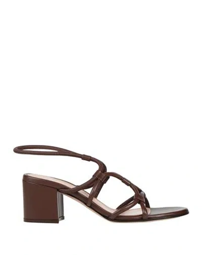 Gianvito Rossi Woman Sandals Chocolate Brown Size 7 Leather