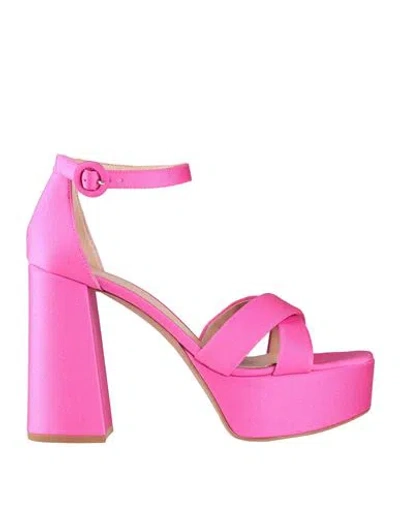 Gianvito Rossi Woman Sandals Fuchsia Size 7 Textile Fibers In Pink