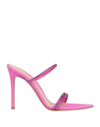 Gianvito Rossi Woman Sandals Fuchsia Size 8 Leather In Pink