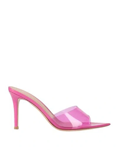 Gianvito Rossi Woman Sandals Fuchsia Size 8 Tanned Leather In Pink