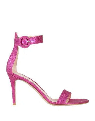 Gianvito Rossi Woman Sandals Fuchsia Size 8 Textile Fibers In Pink