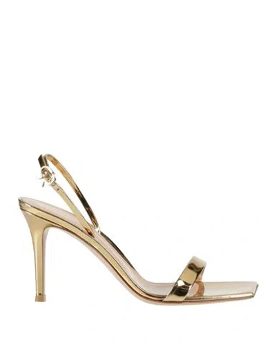 Gianvito Rossi Woman Sandals Gold Size 10 Leather