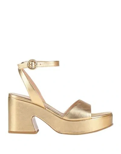 Gianvito Rossi Woman Sandals Gold Size 10.5 Leather