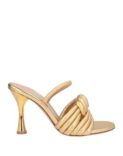 Gianvito Rossi Woman Sandals Gold Size 5.5 Leather In Multi